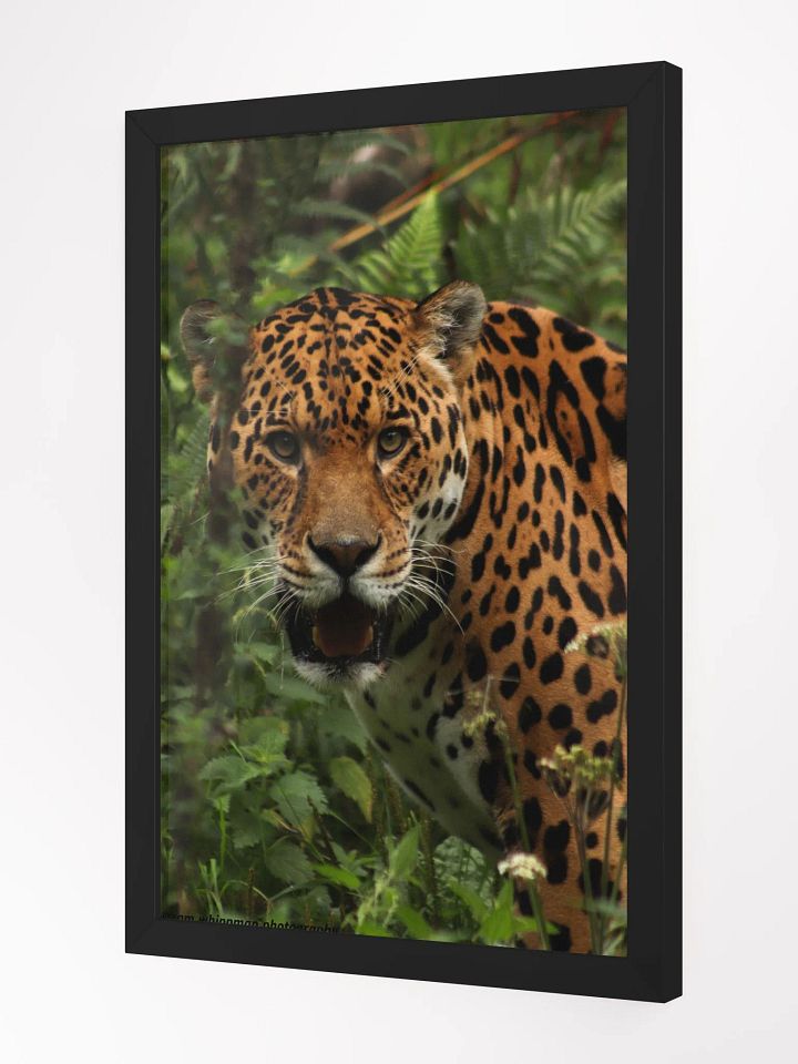 Jaguar Print product image (2)