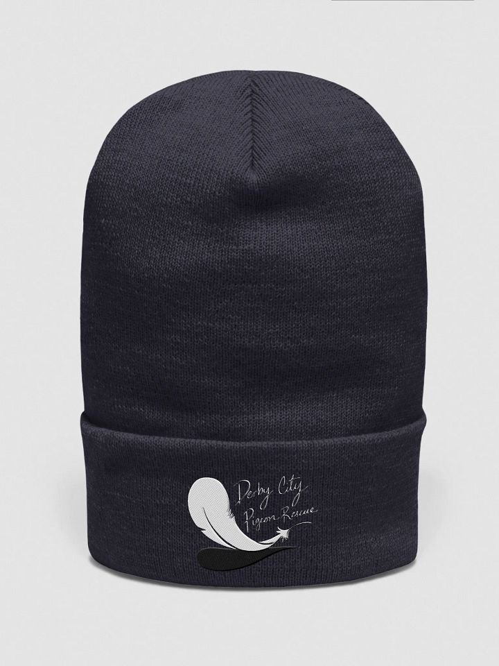 DCPR Embroided Logo Beanie product image (11)