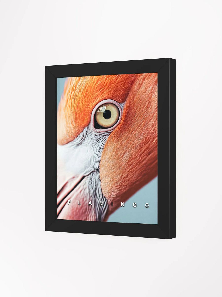 Flamingo's Eye Matte Poster product image (28)