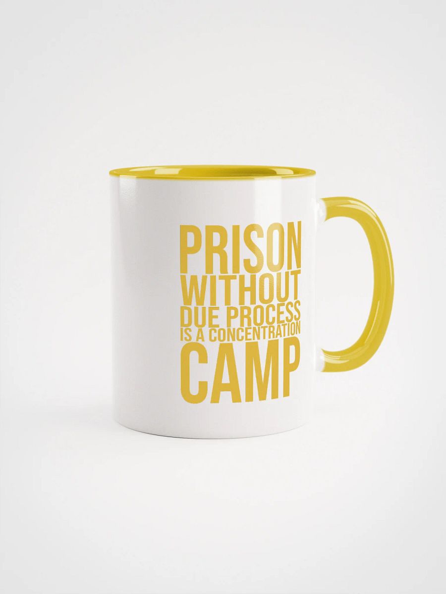 Due Process Concentration Camp Mug- Being Liberal product image (1)