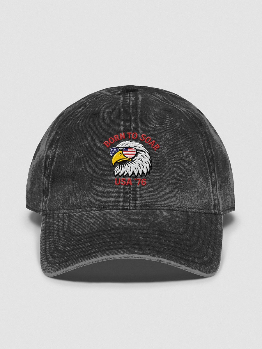 Born to Soar USA 76 Vintage Dad Hat product image (3)