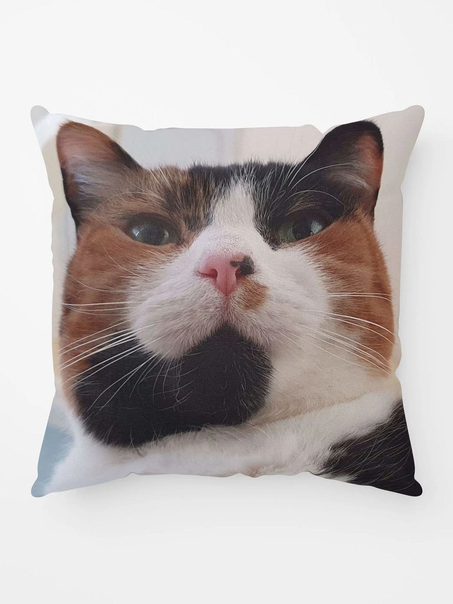 Rosie The Queen Pillow product image (4)