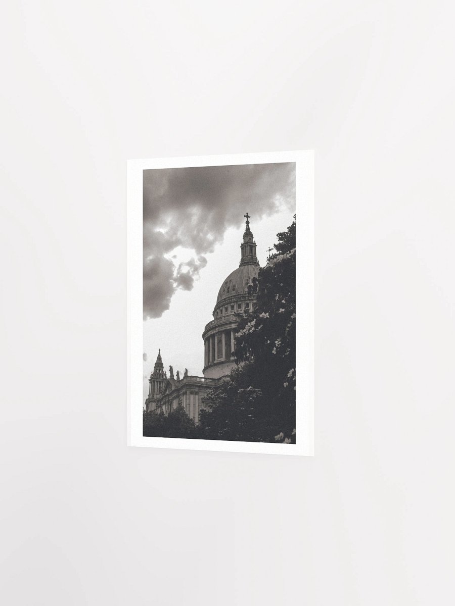 Flowers of St. Paul - Black & White / Print product image (10)