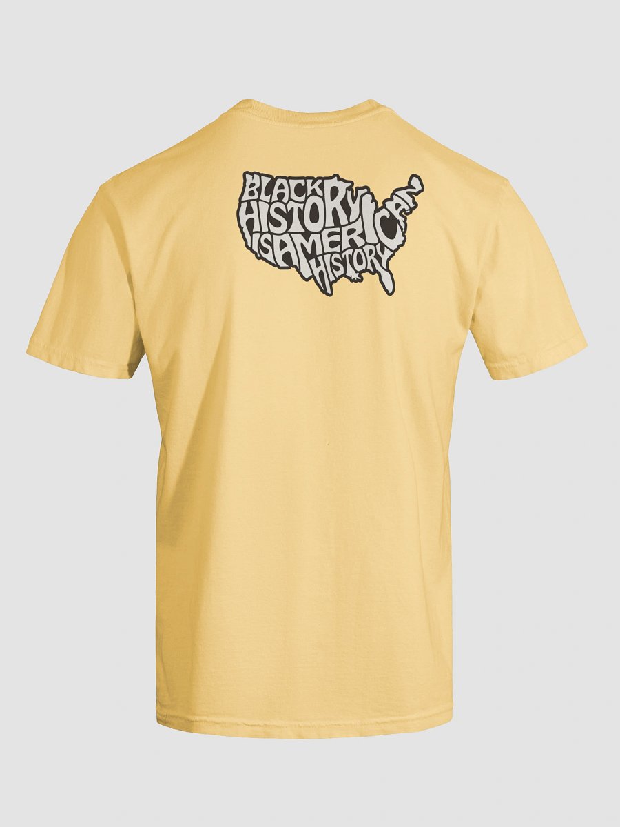 Black History is World History product image (2)