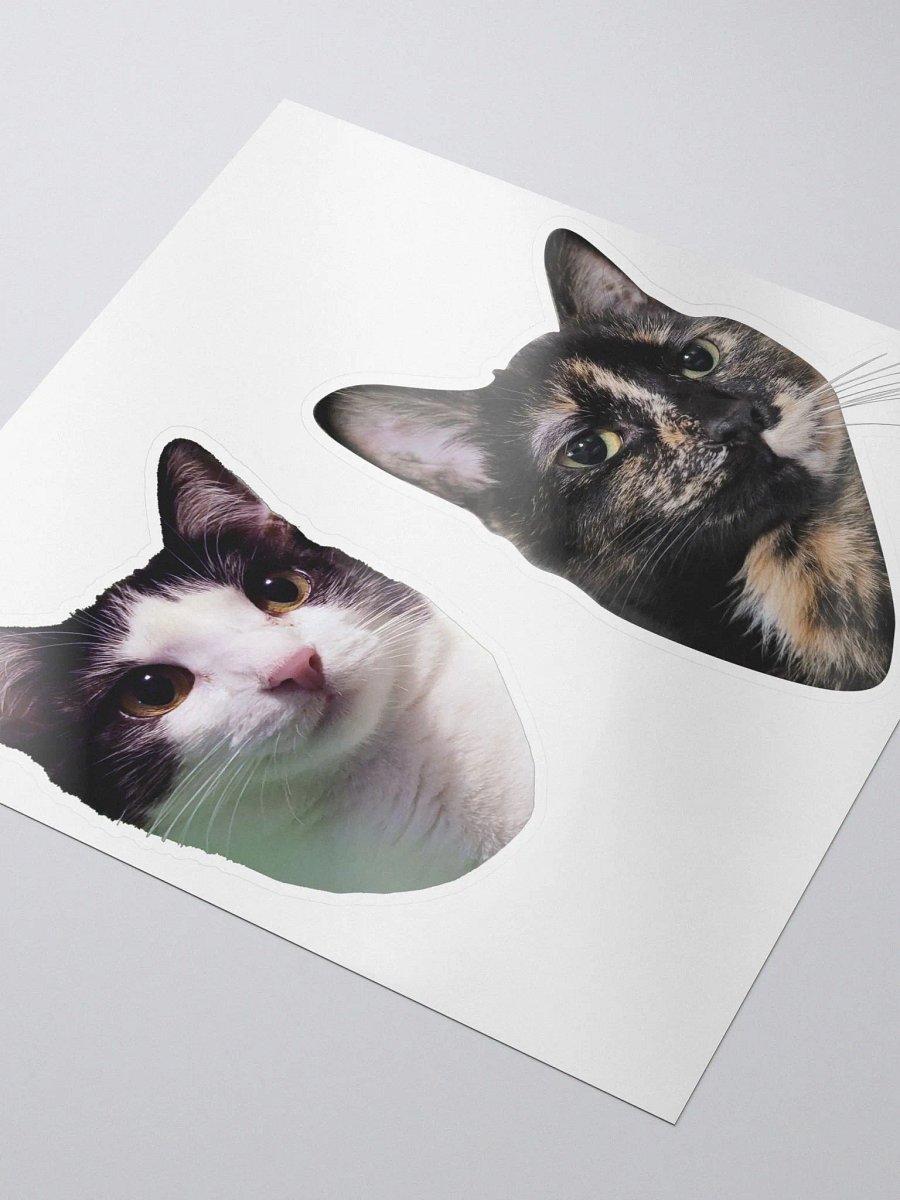 Iris & Roxy Sticker Set product image (3)