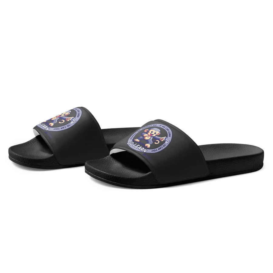 gglearn slides product image (1)