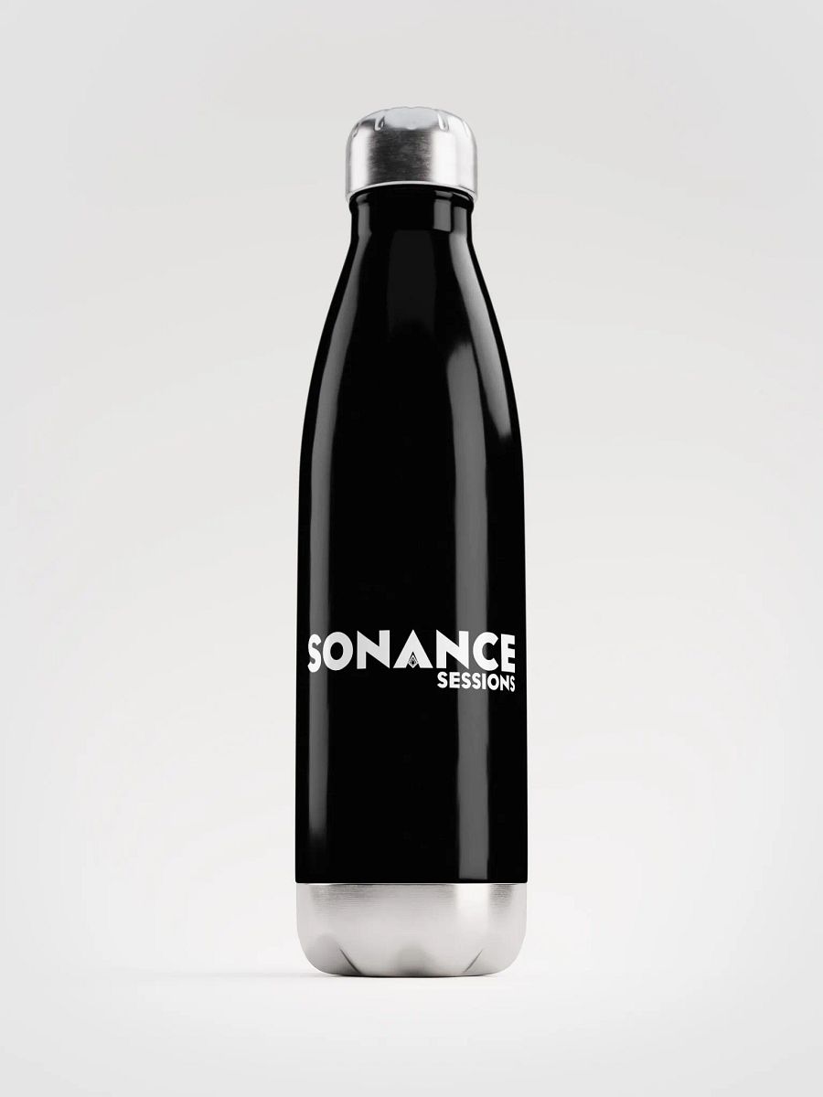 Stainless Steel Water Bottle product image (1)
