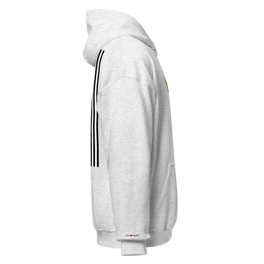 SAINT COUNTRY - HOODIE product image (14)