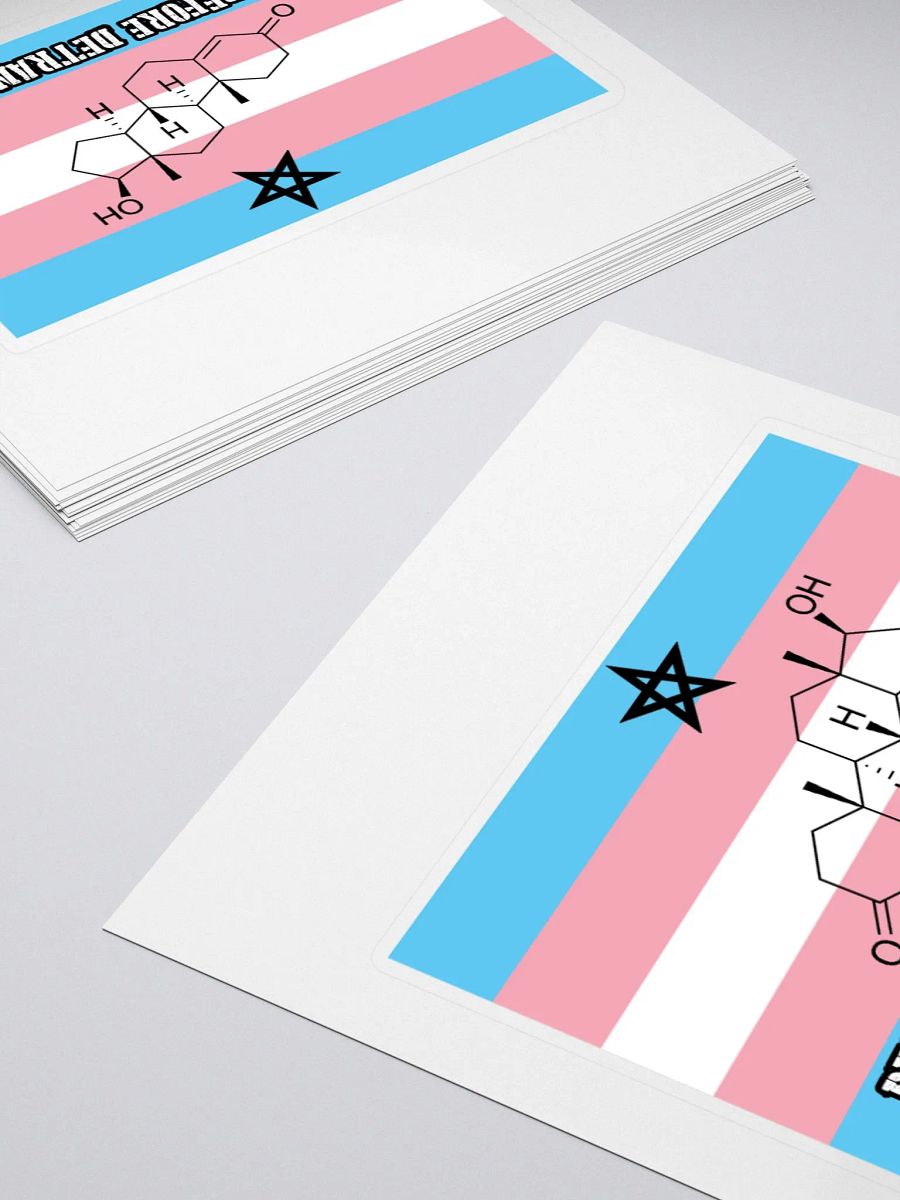 Death Before Detransition (testosterone, sticker edition) product image (10)
