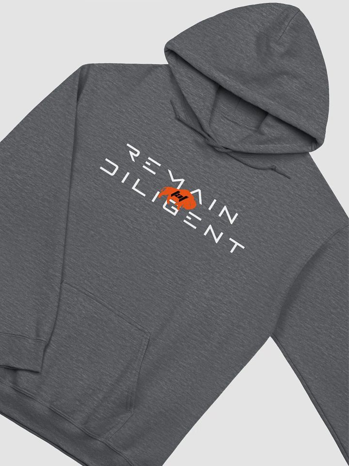 Remain Diligent Hoodie product image (5)