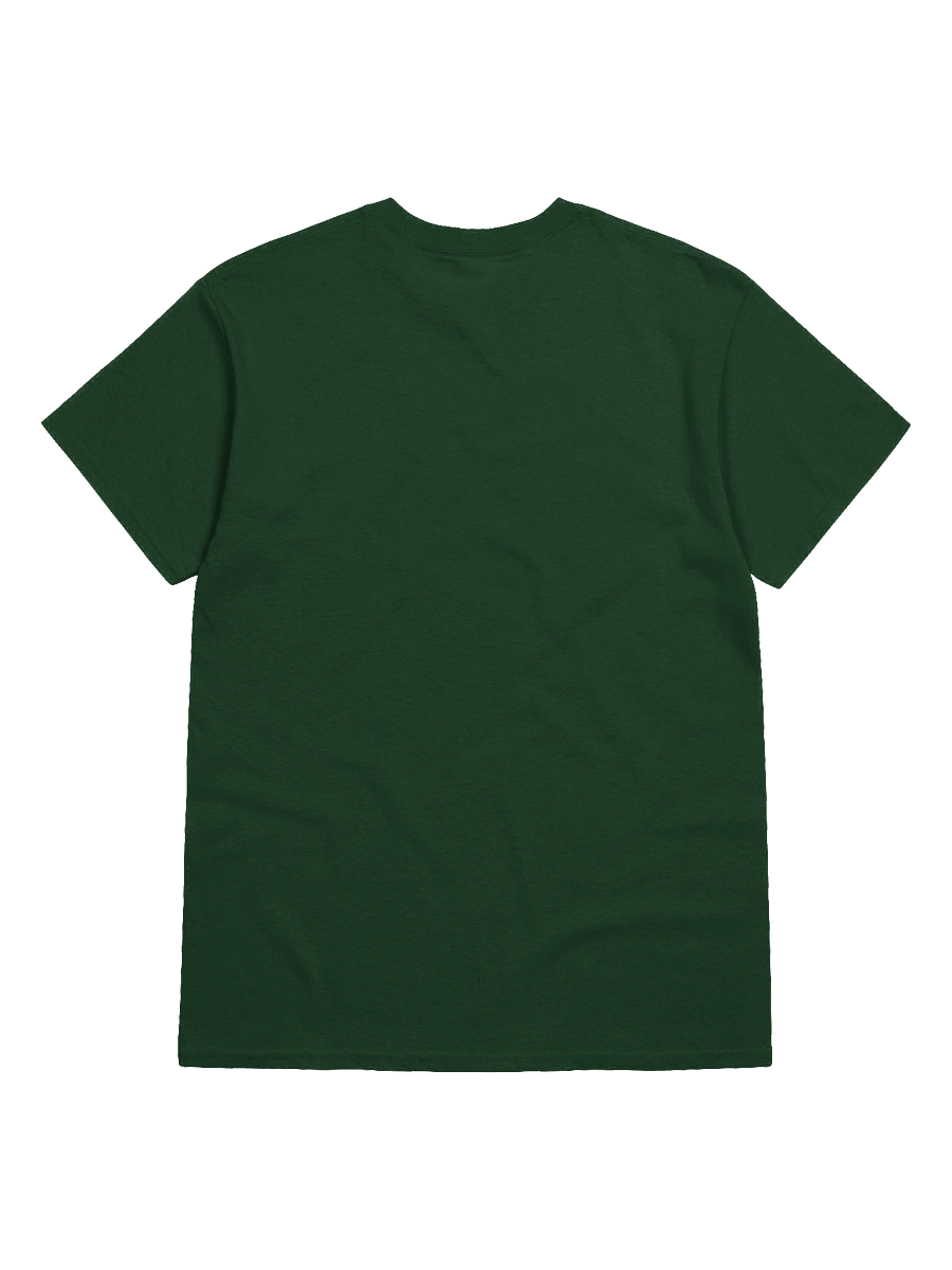 Created With A Purpose : Gildan Heavy T-shirt | Christian Faith | Alzheimer and Brain Disorder Awareness | Gift To Mom, Dad, Child With Brain Disease product image (8)