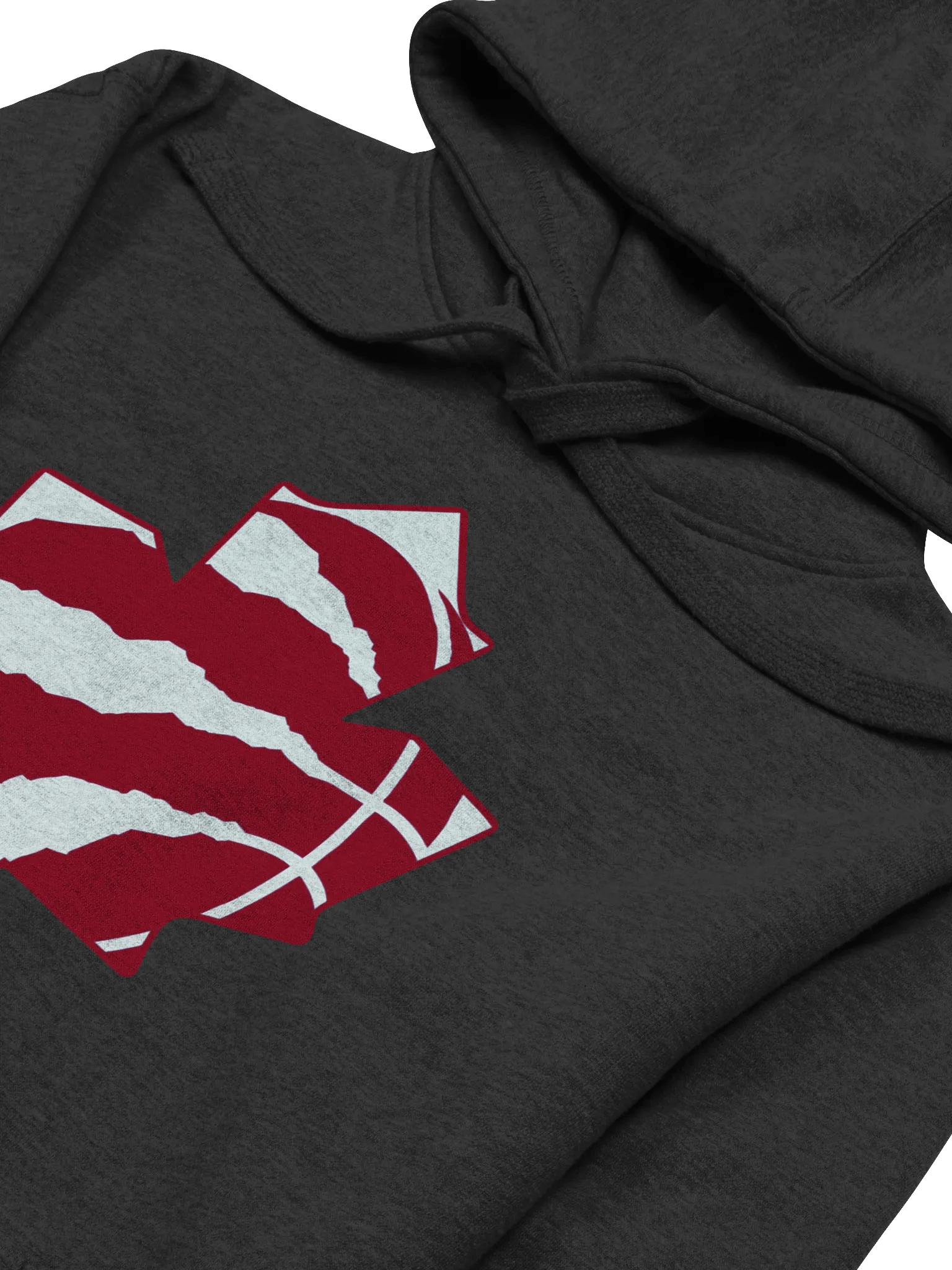 Toronto Dinos Hoodie product image (2)