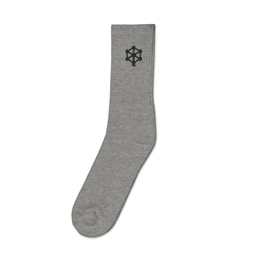 RB Embroidered Socks in Gray product image (1)