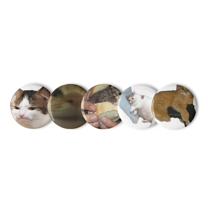 Set of Pin Buttons: Meme Cats 28 product image (1)