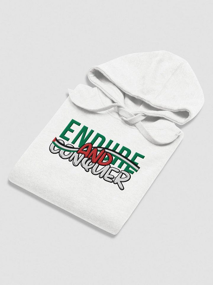 Endure & Conquer Embroidered Hoodie product image (1)