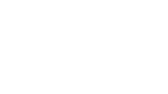 Cinnamon Switch