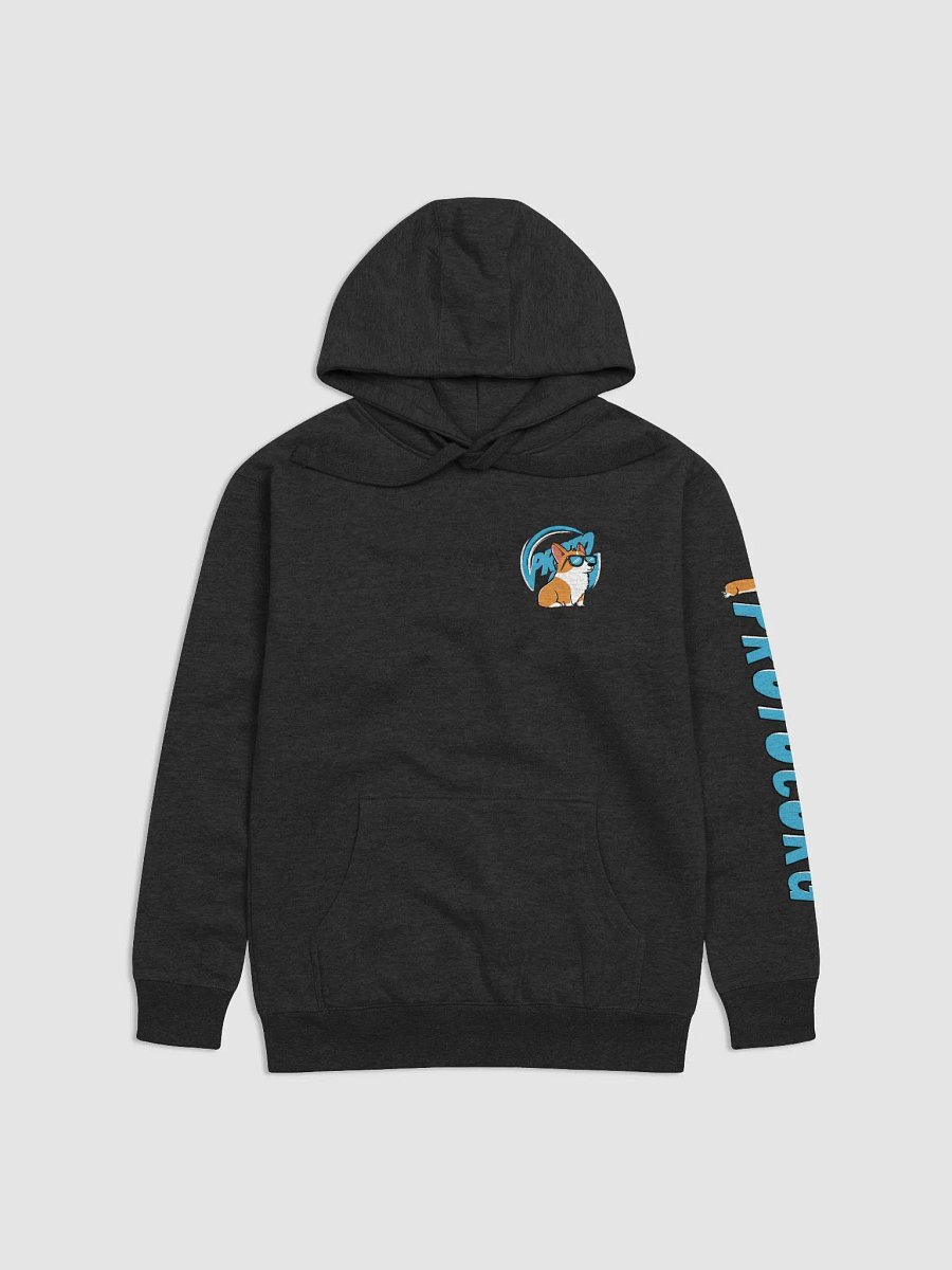 Protocorg Hoodie product image (3)