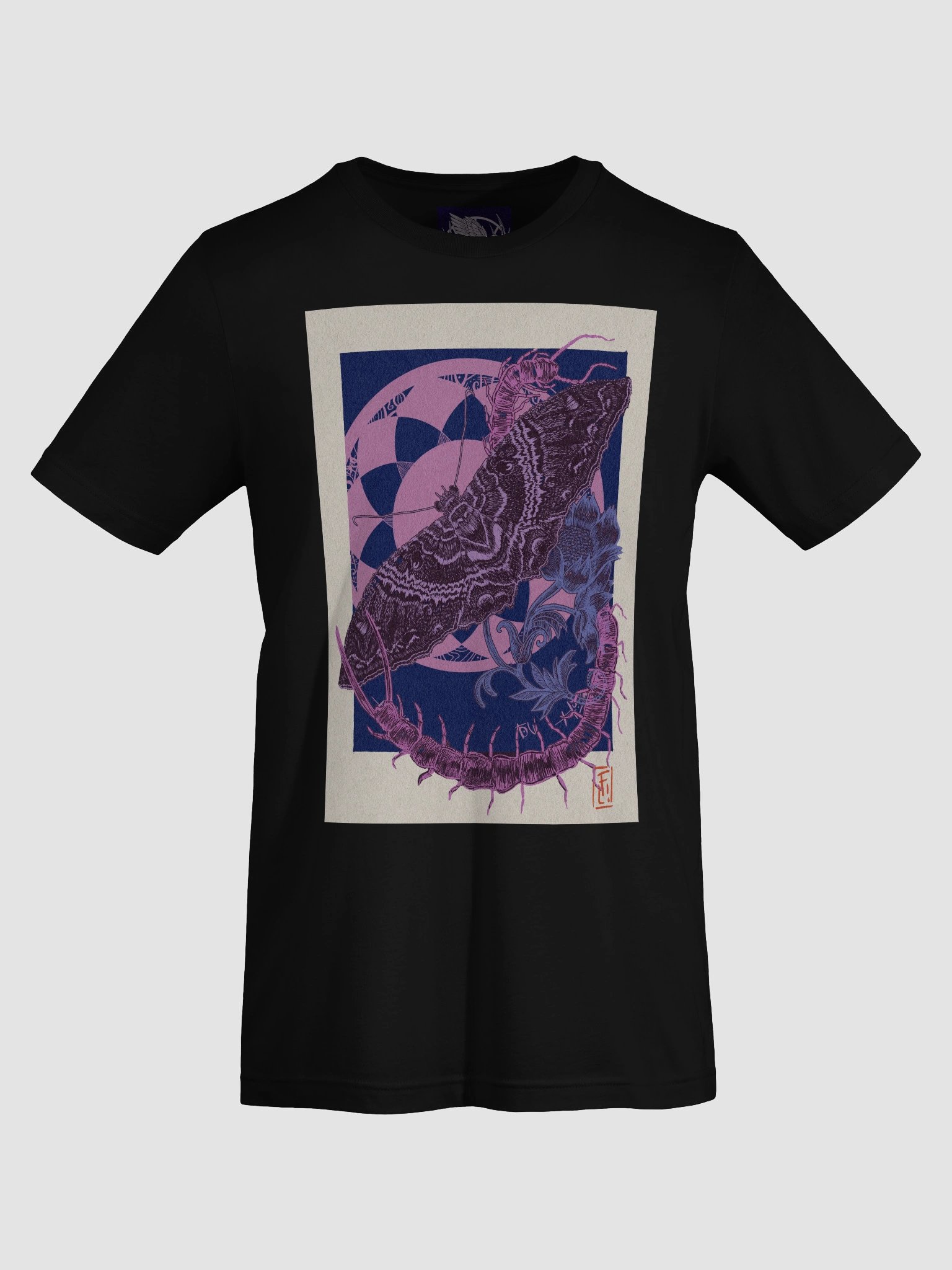 Polilla bruja y escolopendra product image (7)