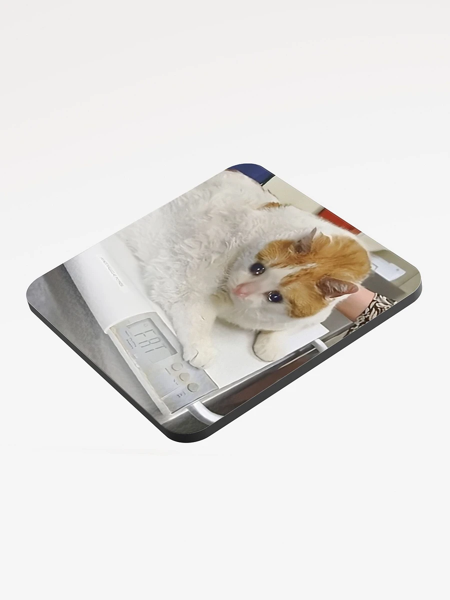 Glossed Cork Coaster: Meme Cats 2 product image (3)