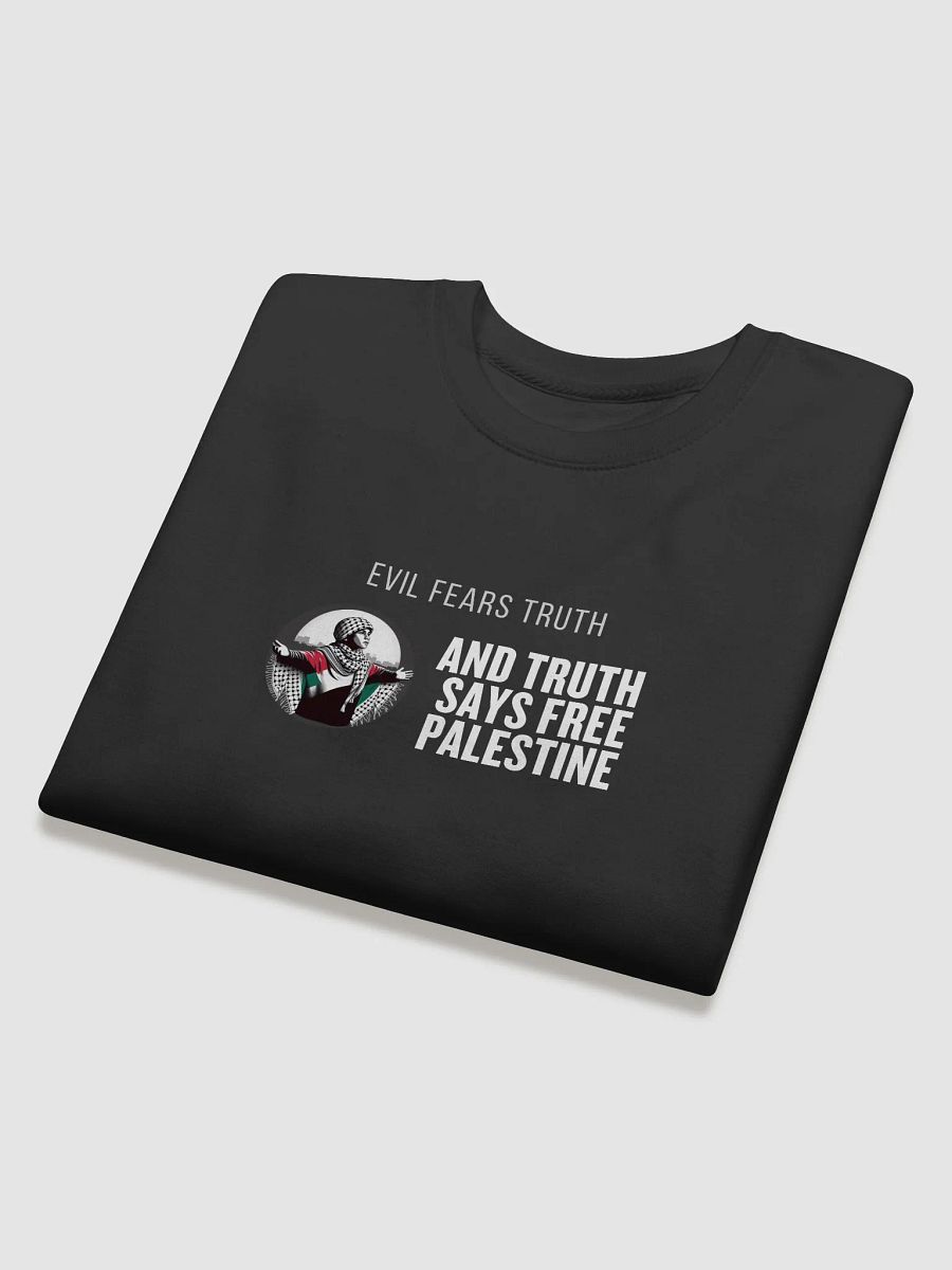 Americana Comfort Premium Sweatshirt | Evil fears truth, and truth says: Free Palestine. product image (20)
