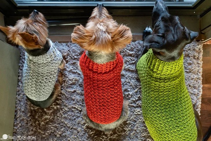 Dandy Dog Sweater Crochet Pattern product image (4)