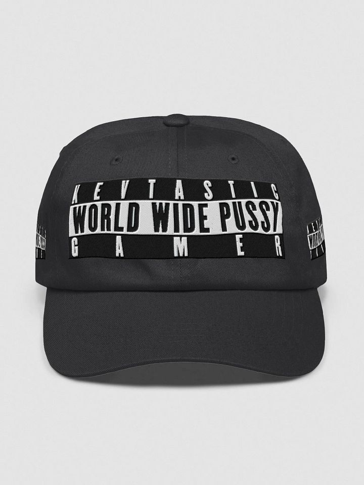 WORLD WIDE PUSSY Gamer Hat product image (6)