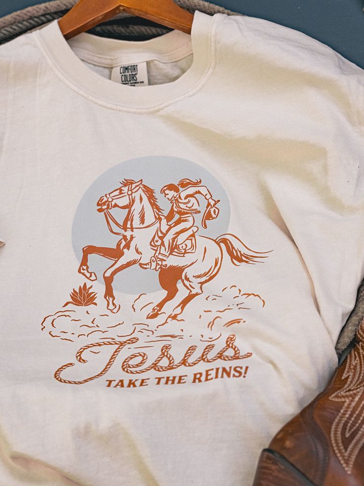 Take the Reins product image (1)