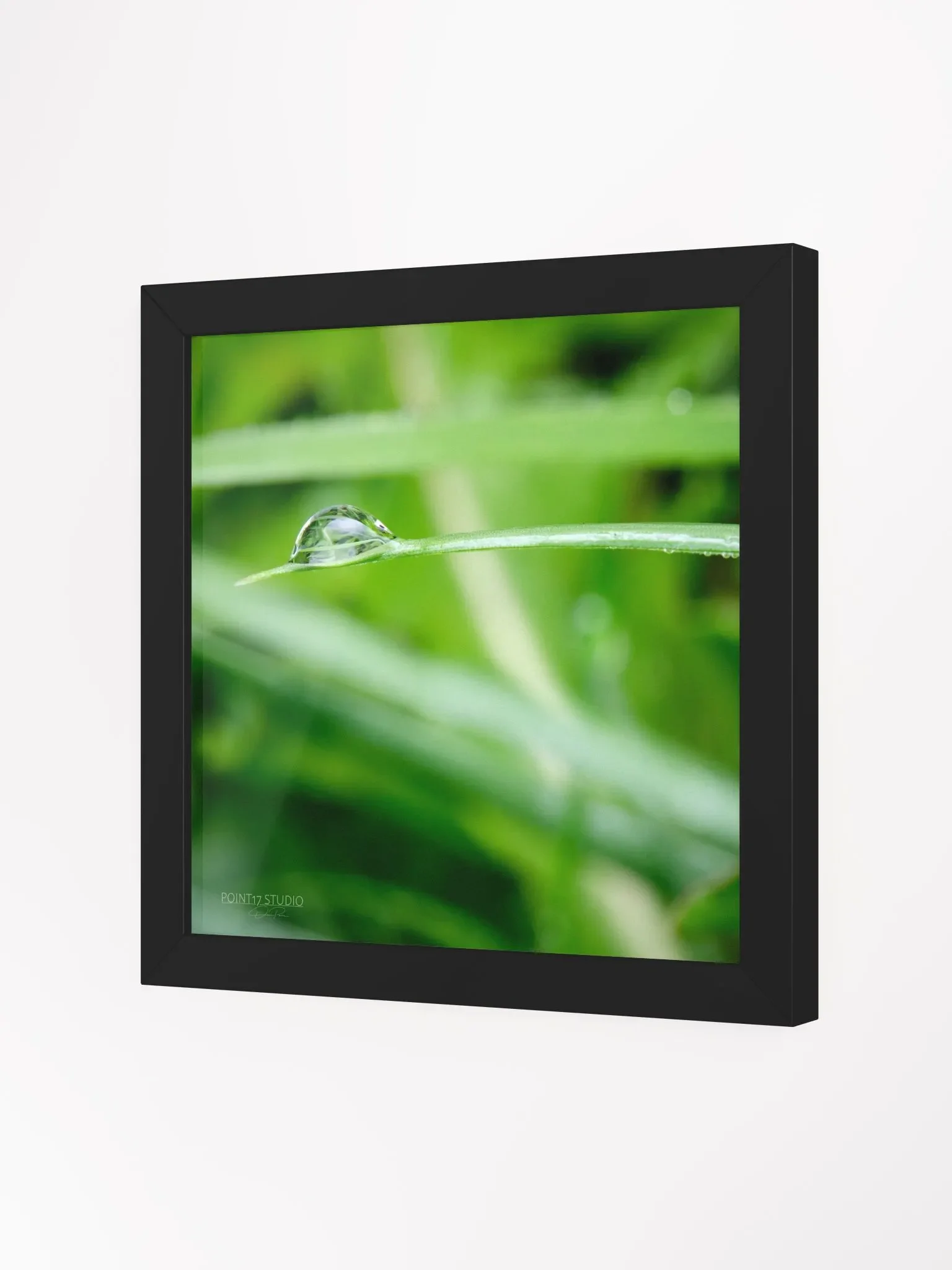 Dew Gems #10 - Framed Print product image (2)