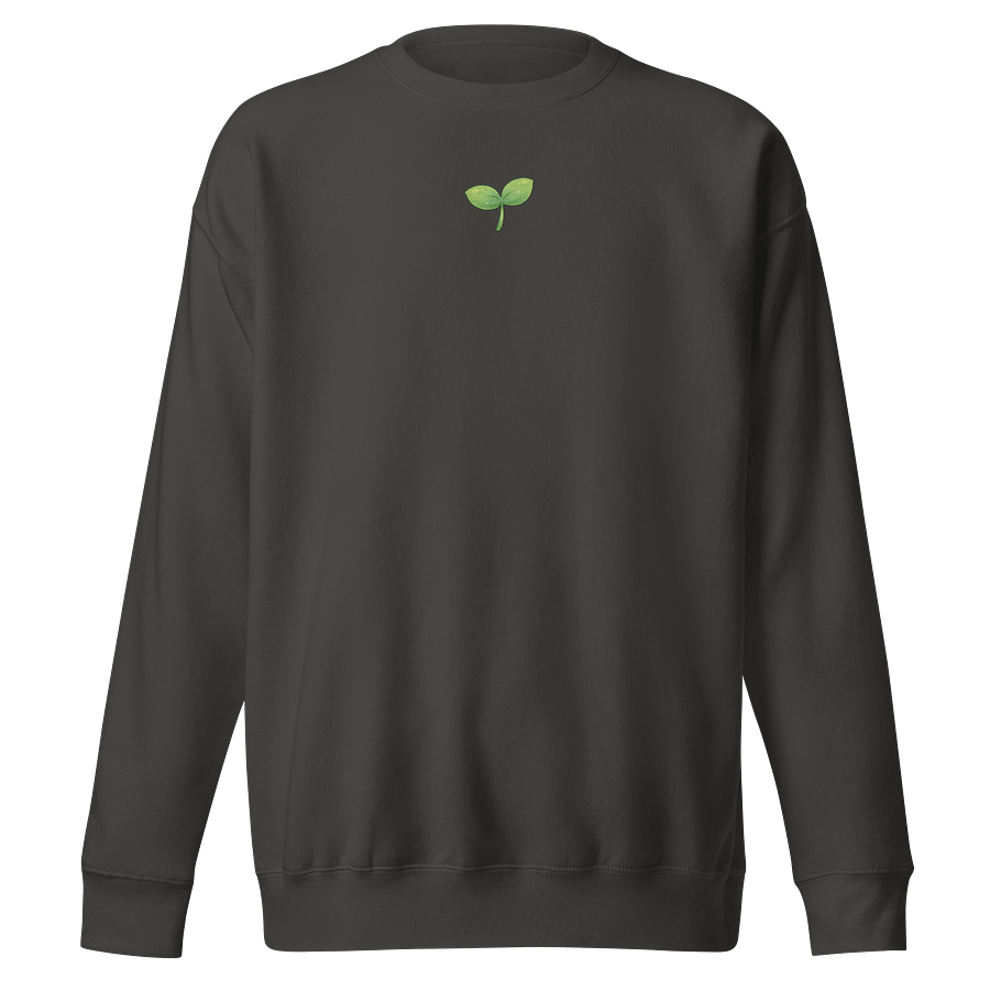 Sprout Embroidered Comfy Sweatshirt product image (1)