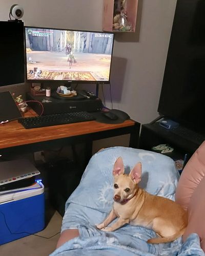 A new gamer🥰 lol jk. She loves being with me when I game so I've learned to share my chair lol
.
.
#cannabis #ink #inkedpeopl...