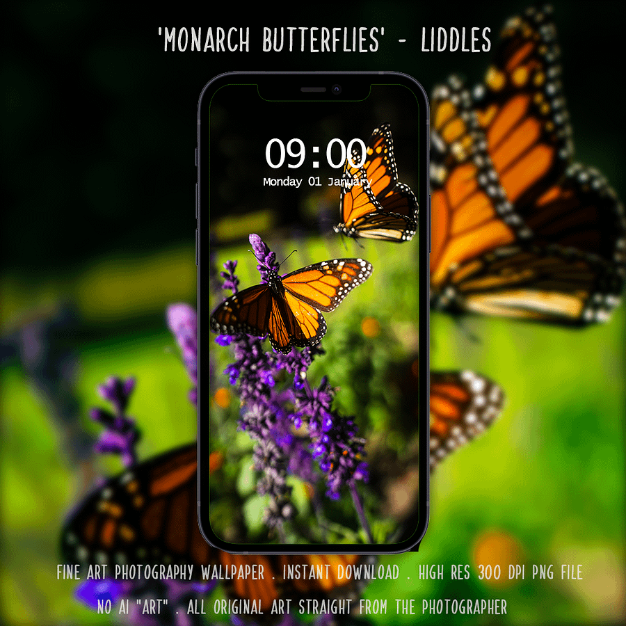 Monarch Butterflies by Liddles phone wallpaper product image (1)