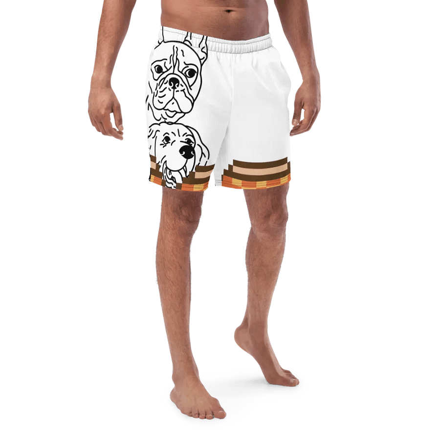 dogs and cats product image (4)