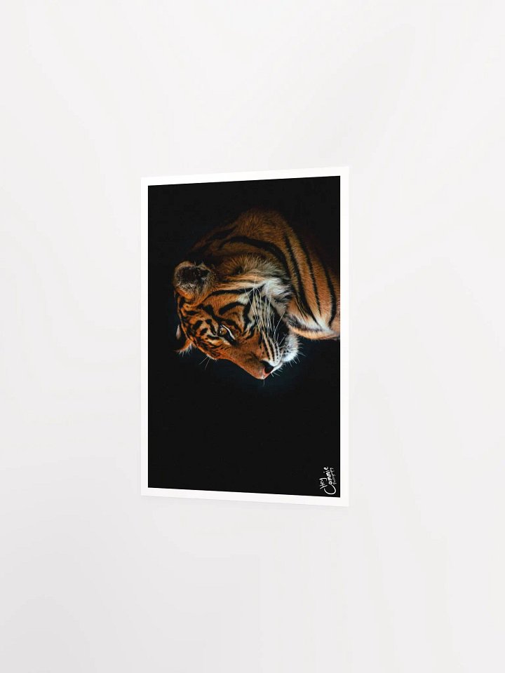 A Tigers Portrait - Print product image (2)