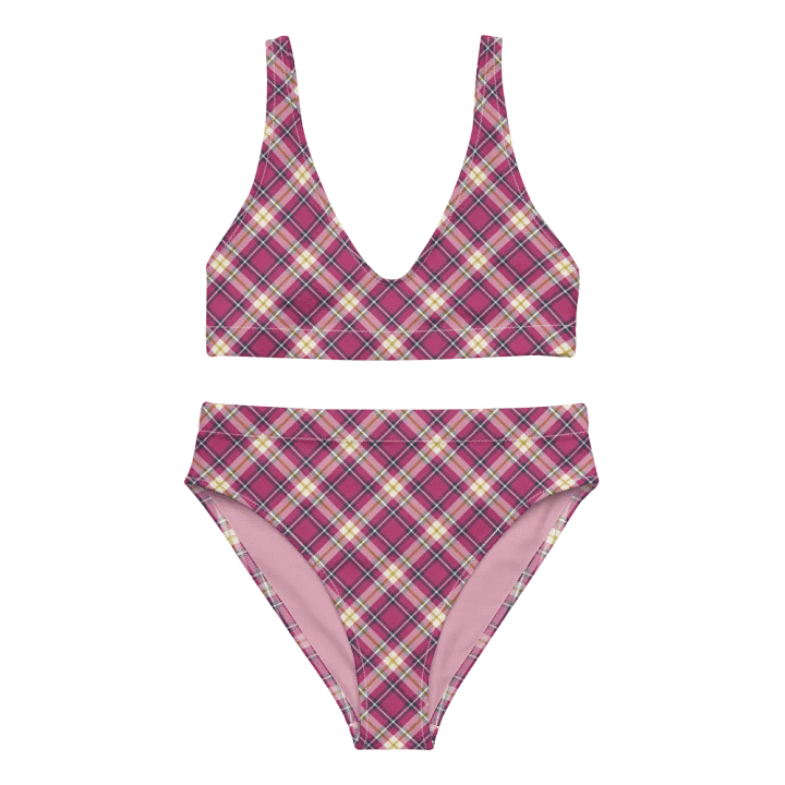 Raspberry Pink and Navy Plaid Bikini product image (2)