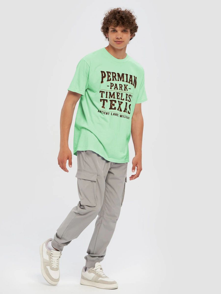 Permian Park Timeless Texas Garment-Dyed Tee product image (42)
