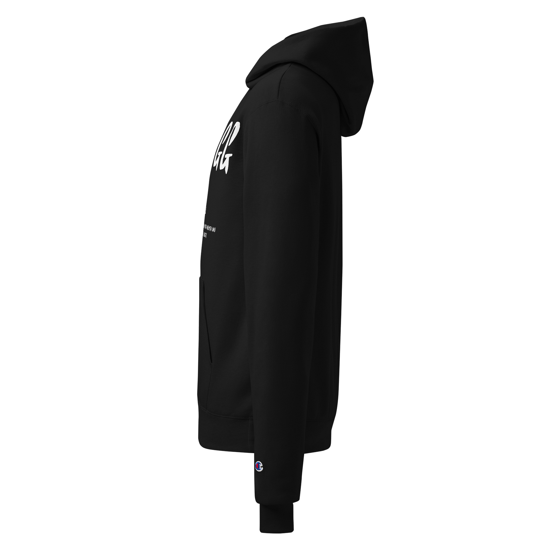 YSAGG Definition Champion Hoddie product image (3)