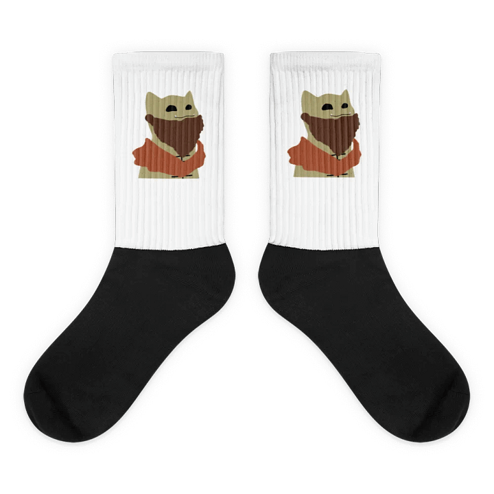 Rachnor Socks product image (1)