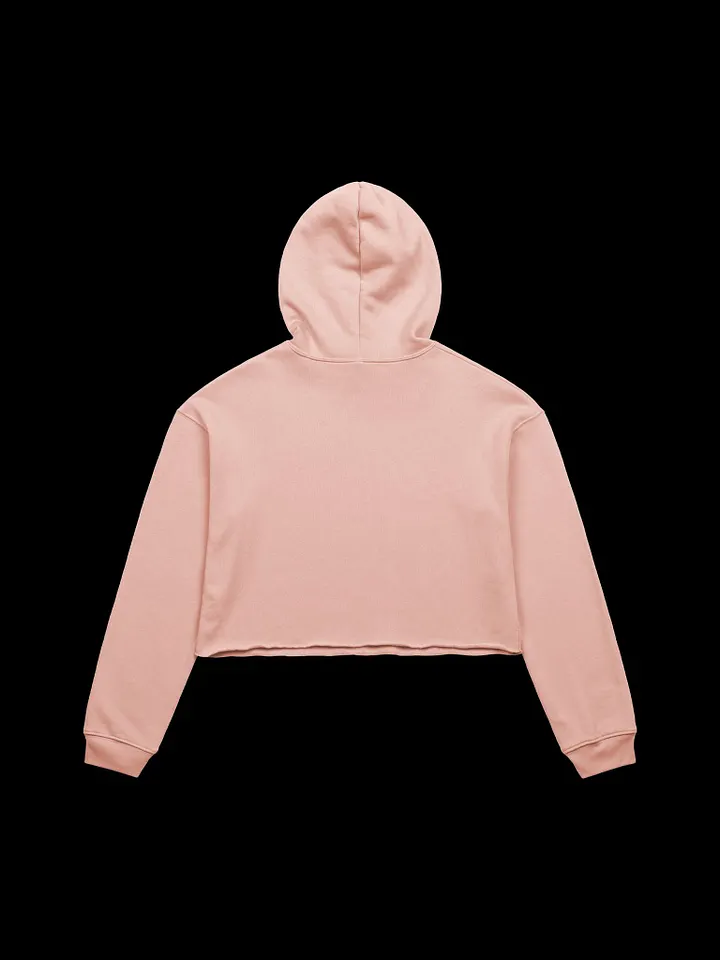 HollyRex Cropped Hoodie product image (13)