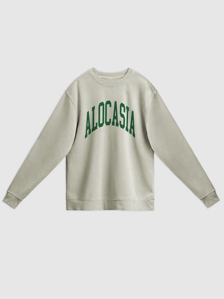 ALOCASIA varsity unisex midweight pigment dyed crewneck product image (1)