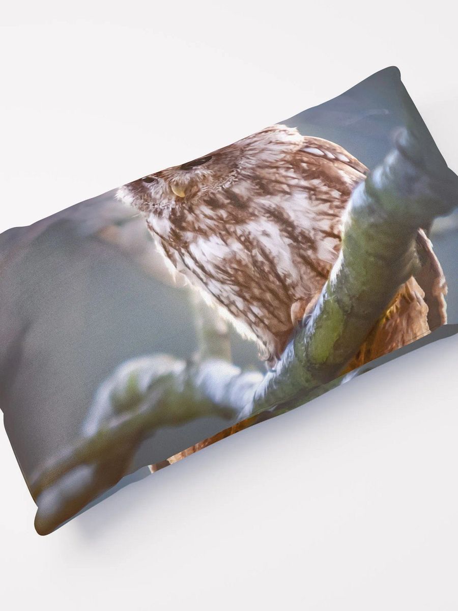 Brown Owl product image (11)