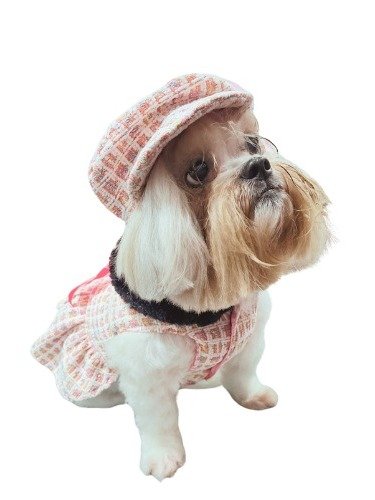 Vestido Pet Parisien - Modelagem Pet PDF product image (2)