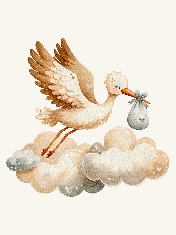 Stork carrying baby - Clipart product image (1)