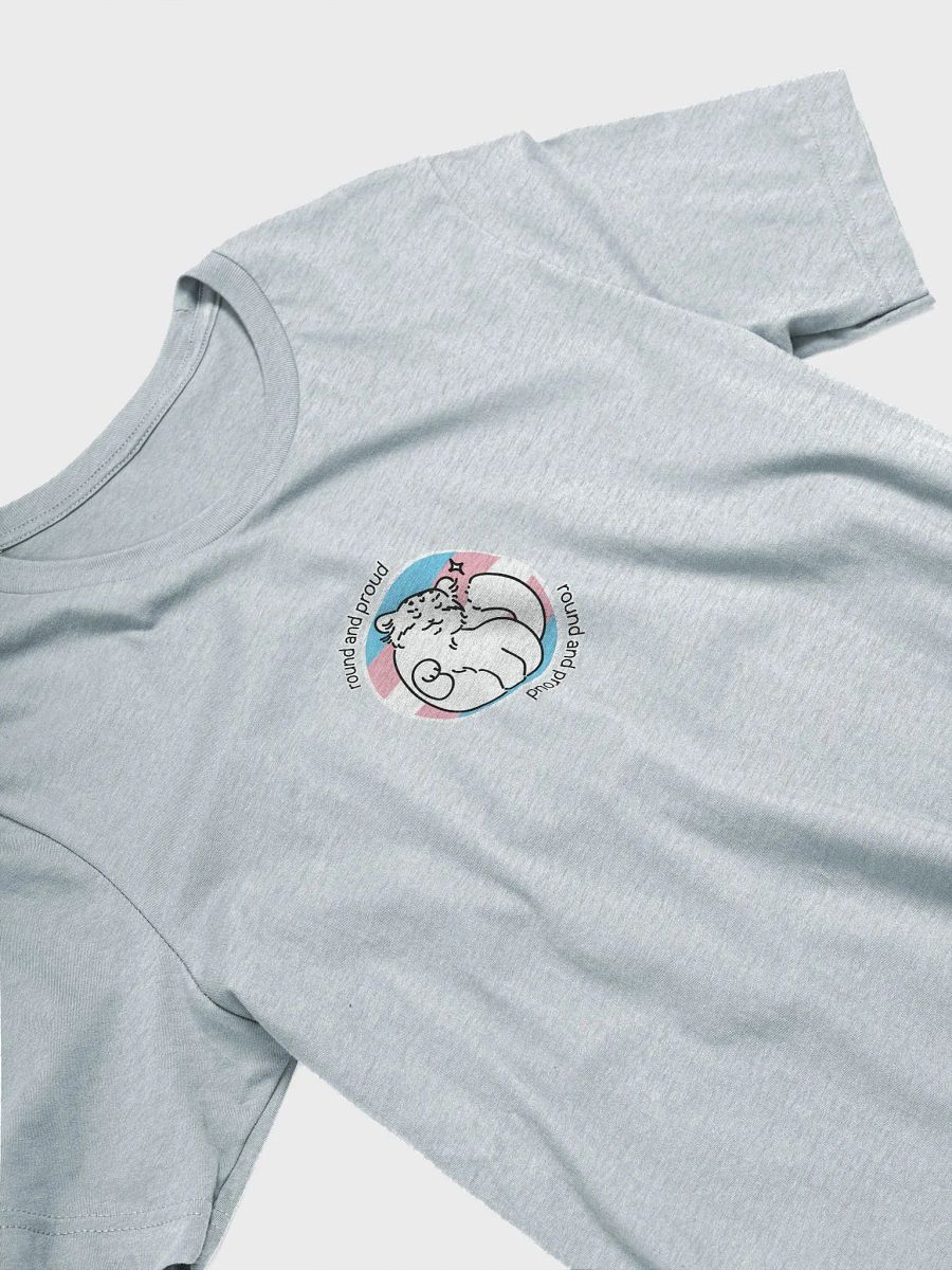 Round and Proud Manul Transgender Version - Bella+Canvas Unisex T-Shirt product image (32)