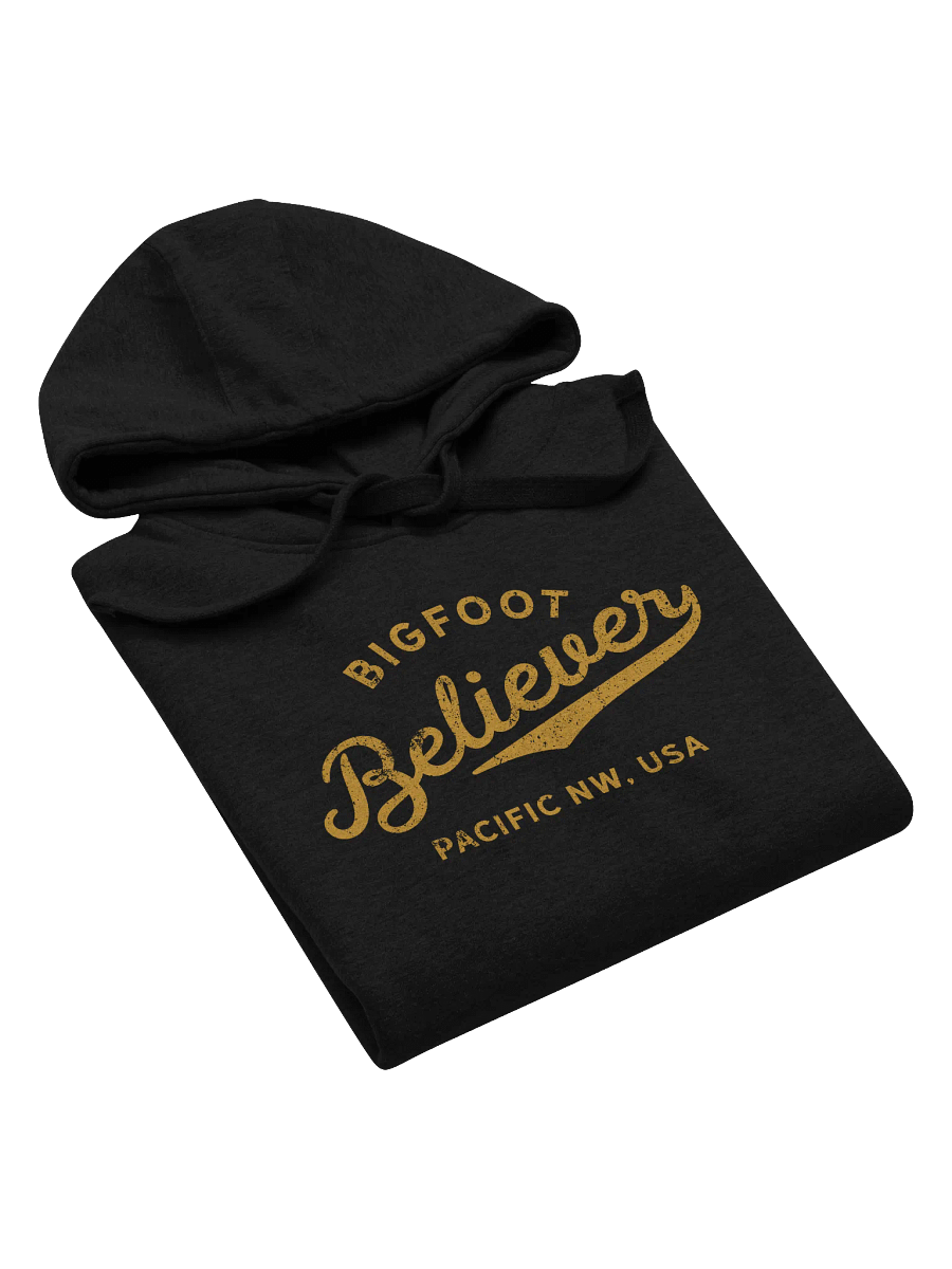 Bigfoot Believer - Hoodie product image (6)