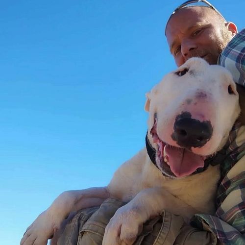 Most people try to control their Bull Terrier.
We teach you how to understand them.

This isn’t obedience by force.
It’s focu...