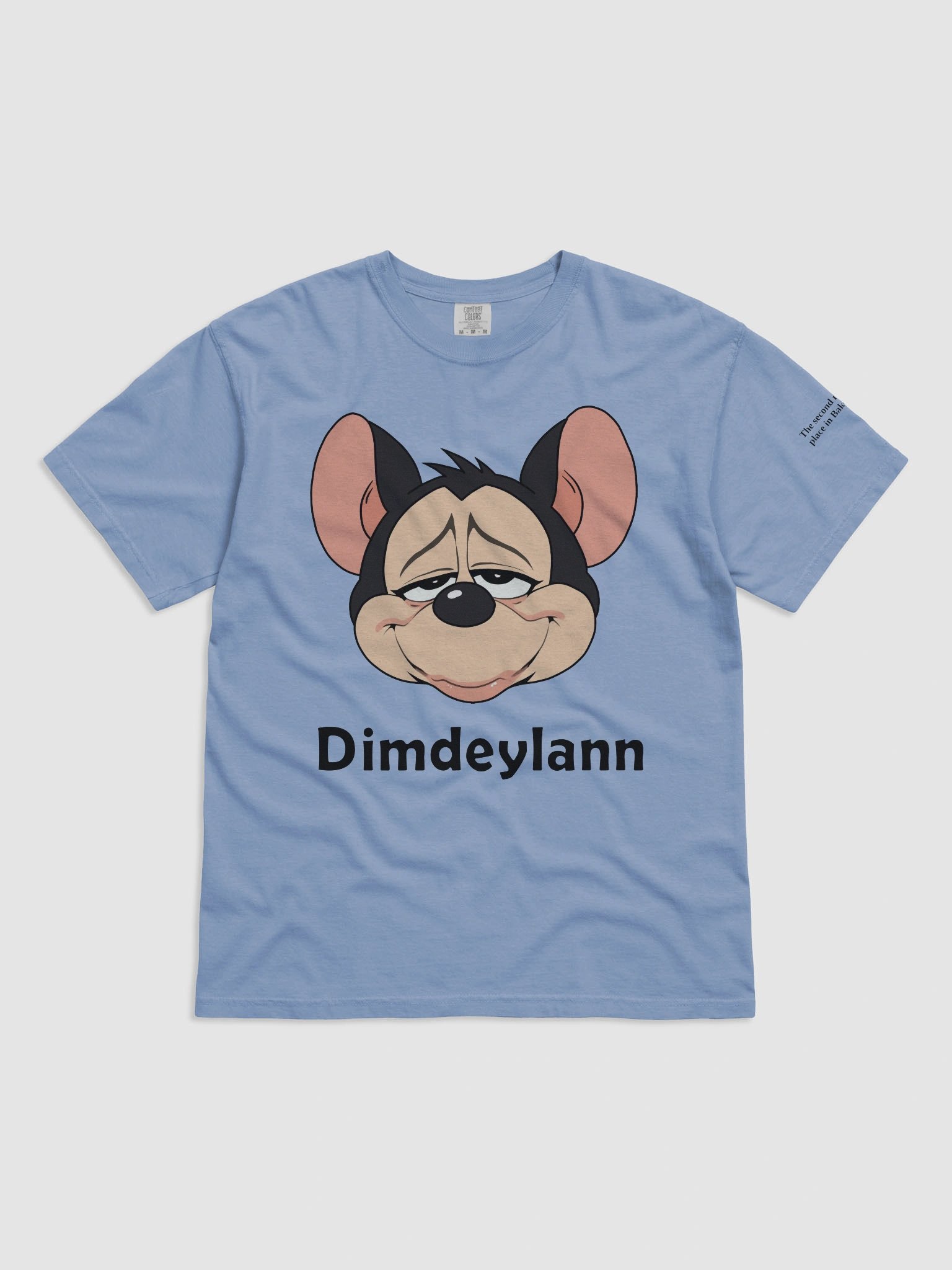 Dimdeylann Heavyweight Tee product image (13)