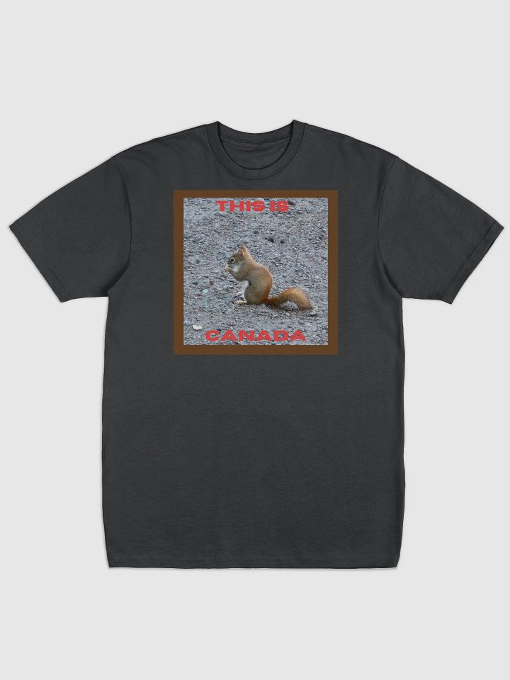 Adorable Red Squirrel Men's Heavyweight Tee product image (1)
