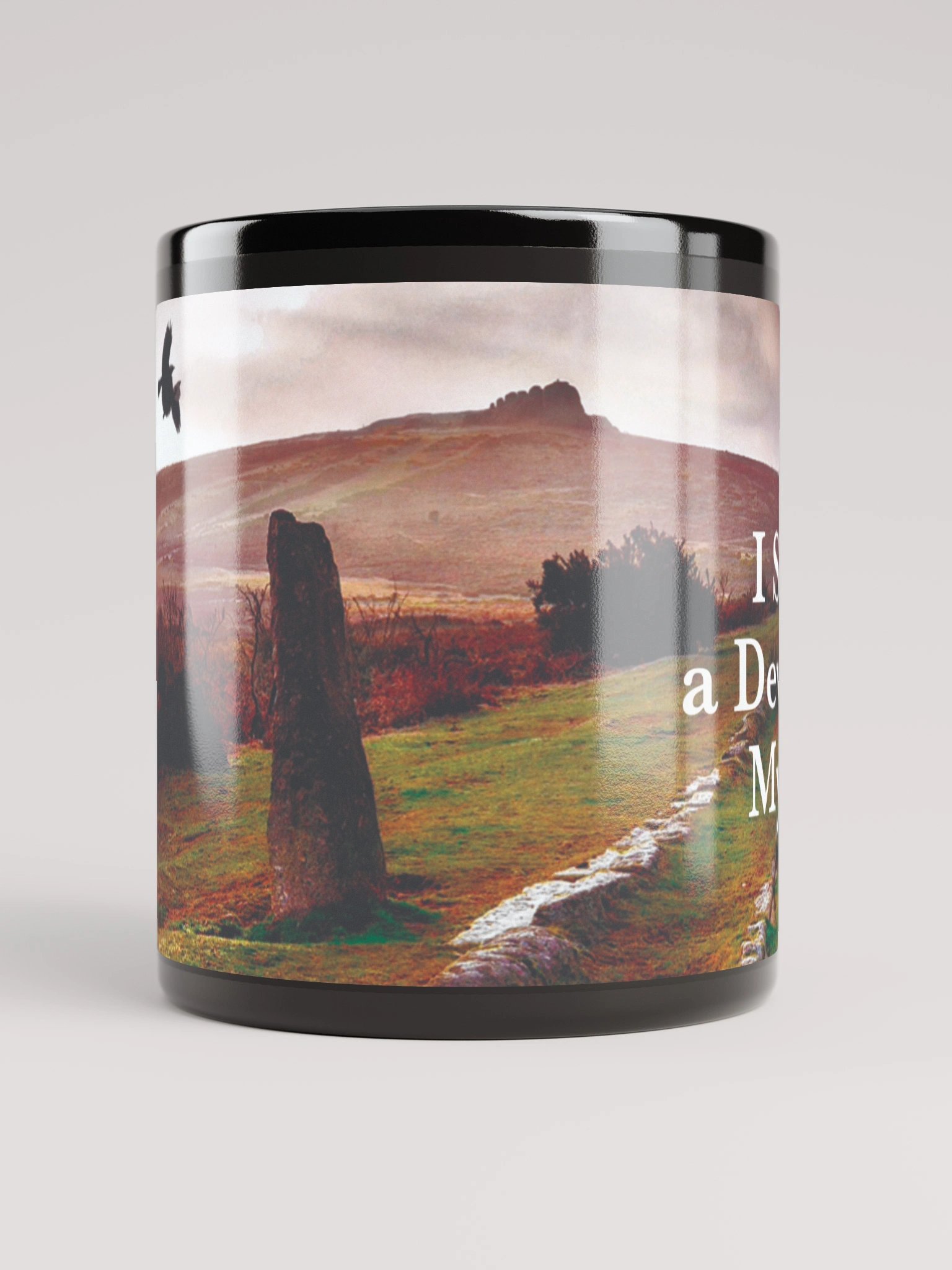 I Solved a Devonshire Mystery product image (5)
