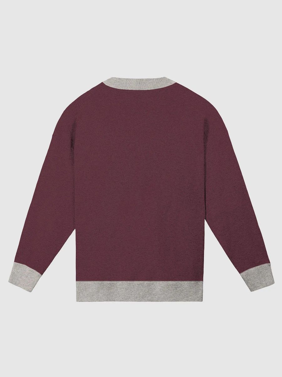 Writer Sweater in Burgundy and Sand product image (2)