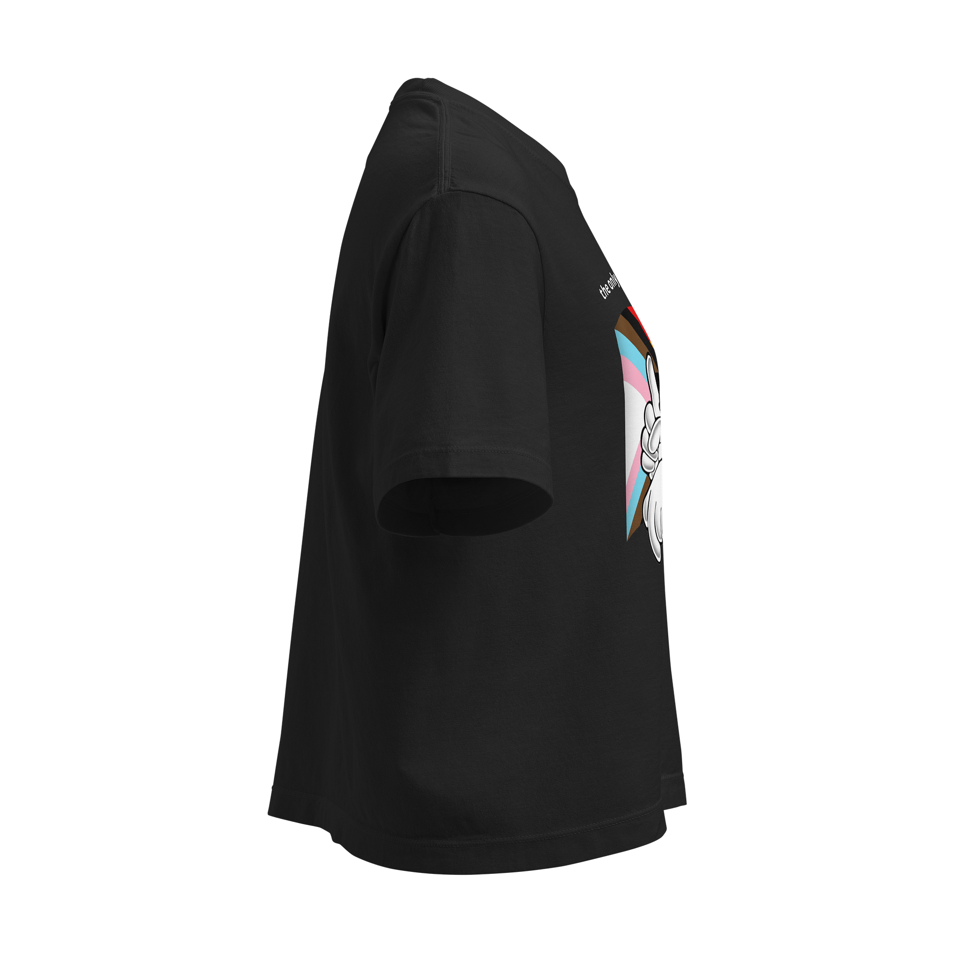 sonic hates oppression | comfort colors boxy t-shirt product image (4)